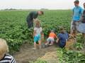 Familie Ippen: Ja wo sind sie den? Die Kinder durften Kartoffeln suchen.